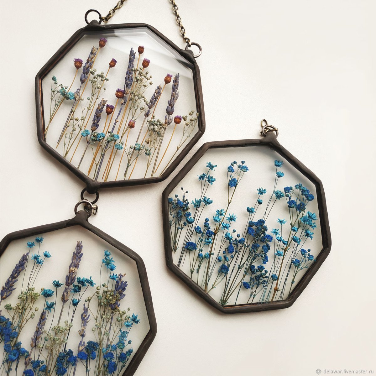 Настенный Гербариум