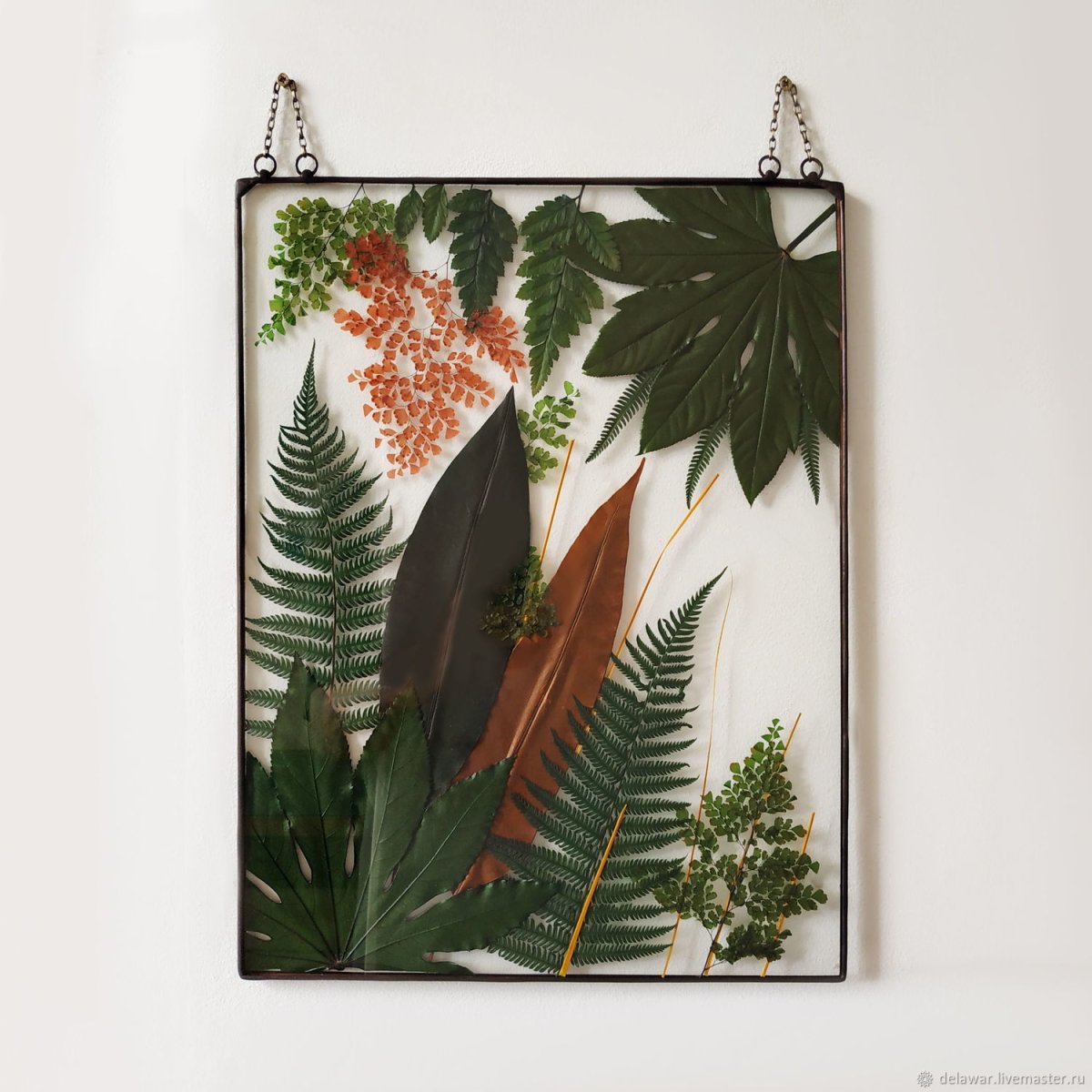 Настенный Гербариум