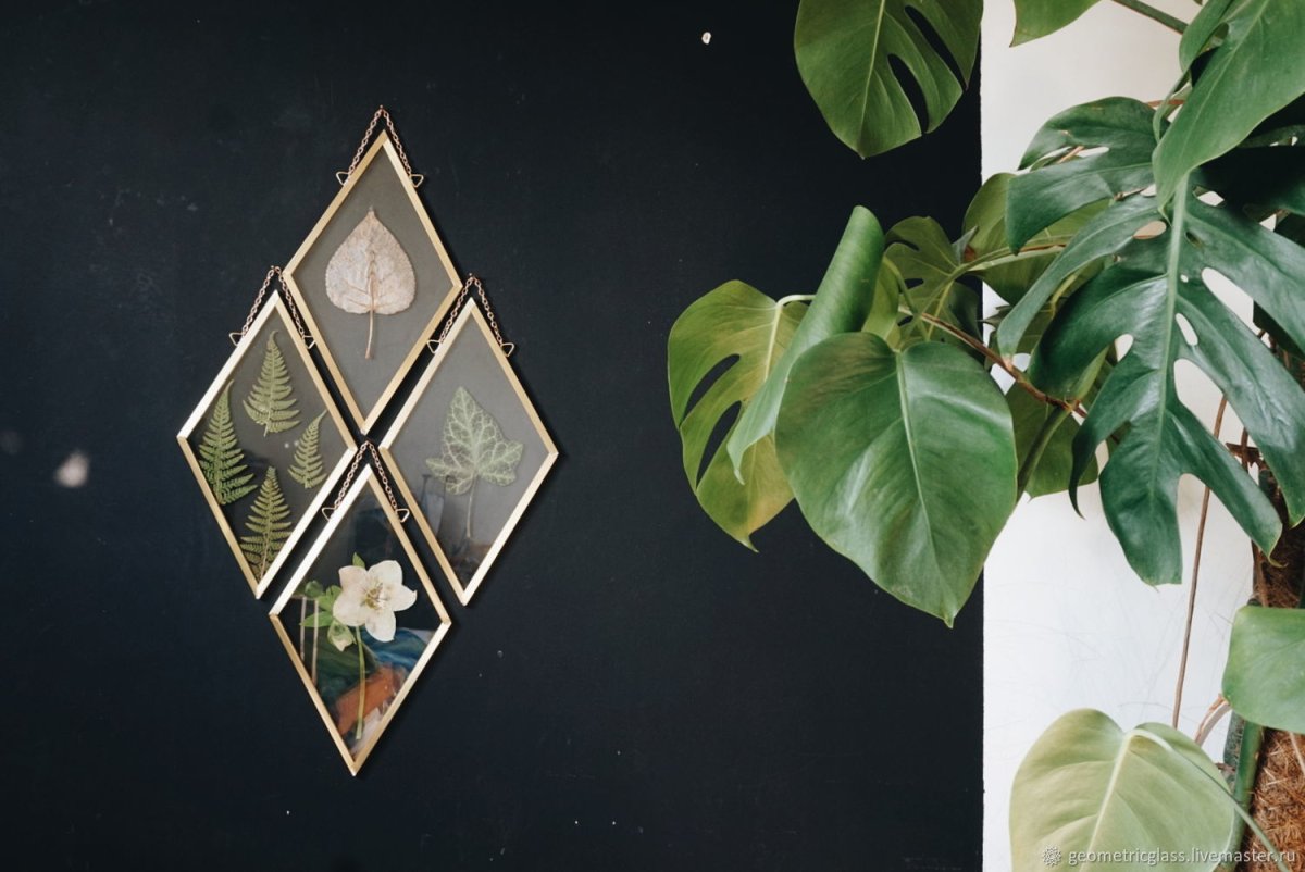 Настенный Гербариум