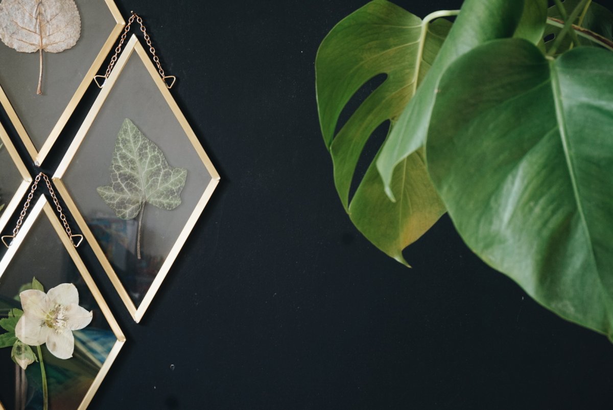 Dark cottagecore гербарий