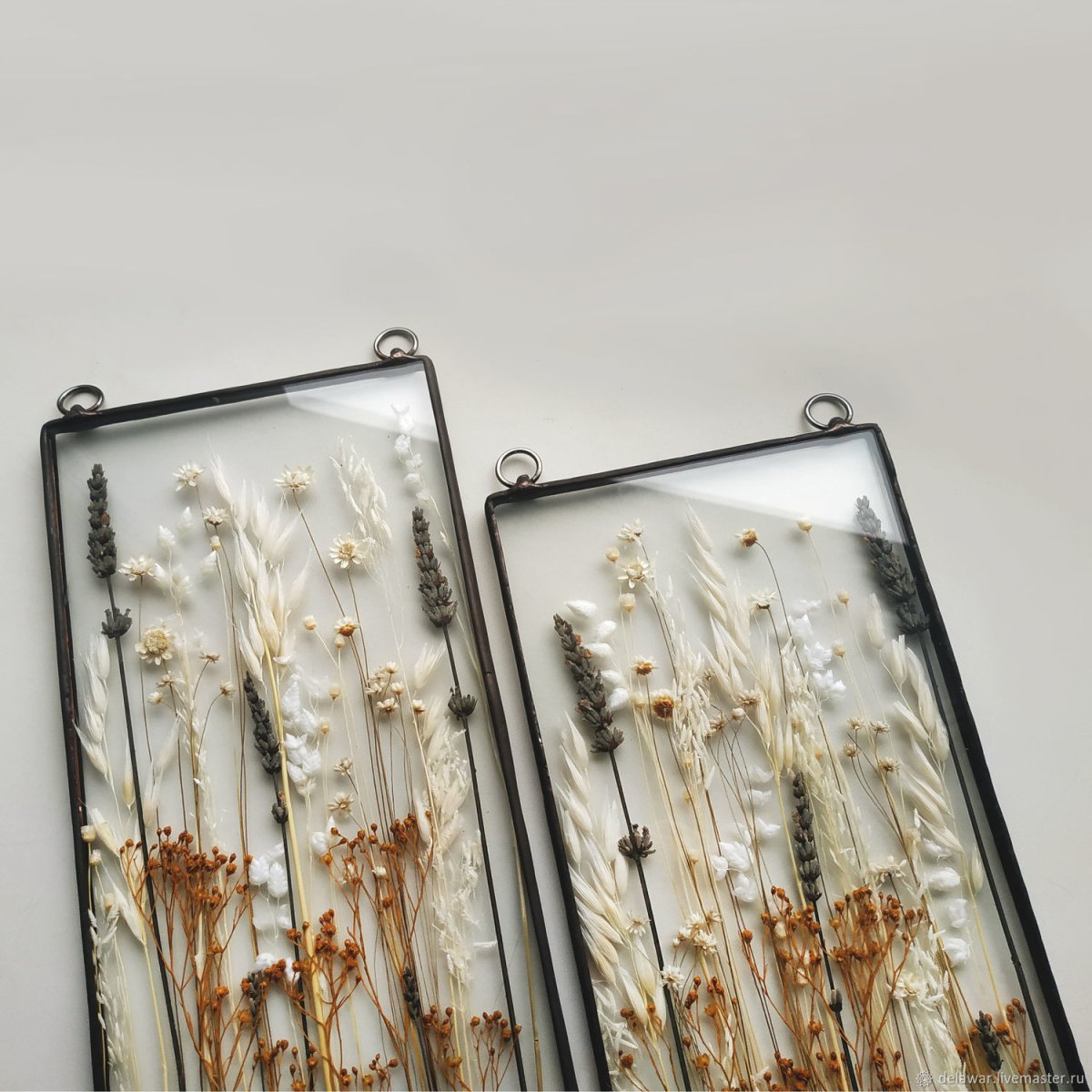 Настенный Гербариум