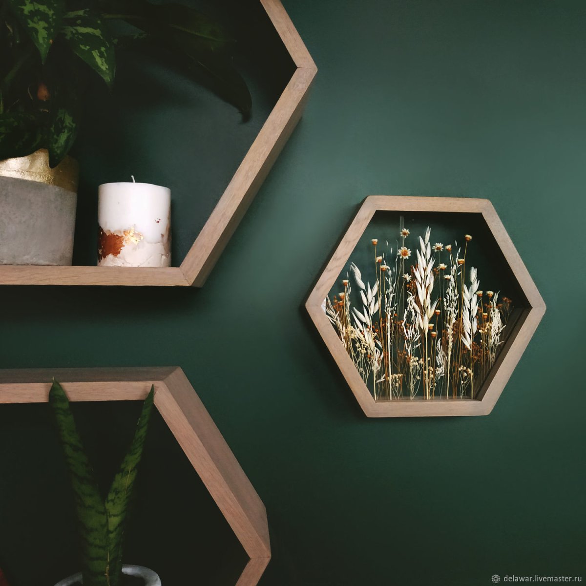 Гербарий Тиффани папоротник