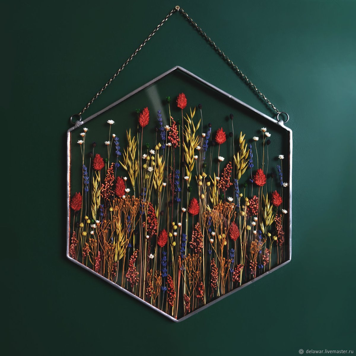 Настенный Гербариум