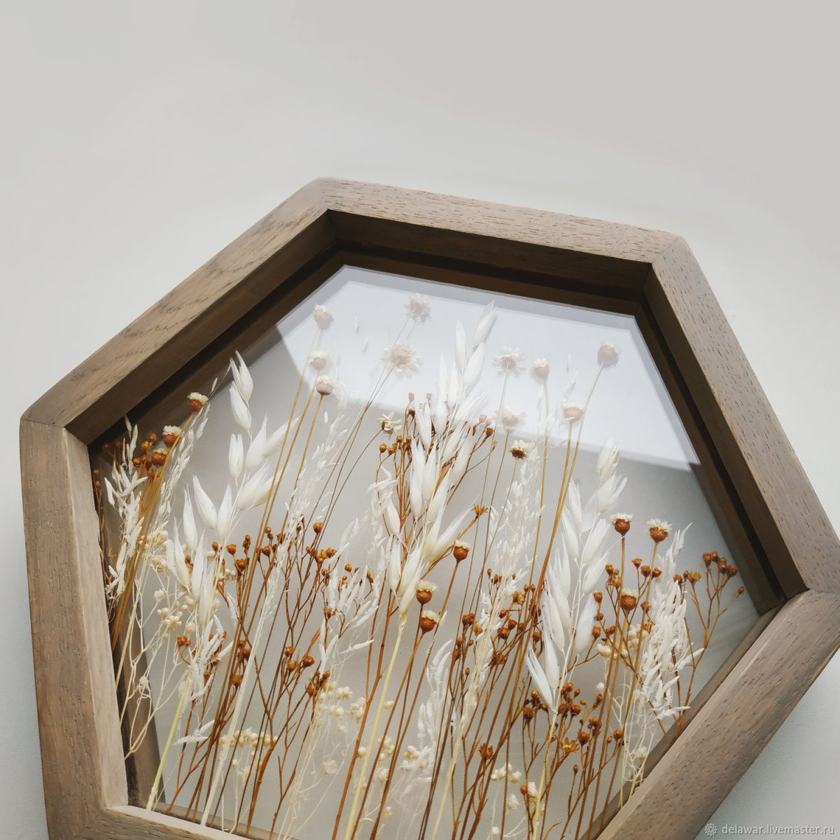Гербарий в рамке под стеклом