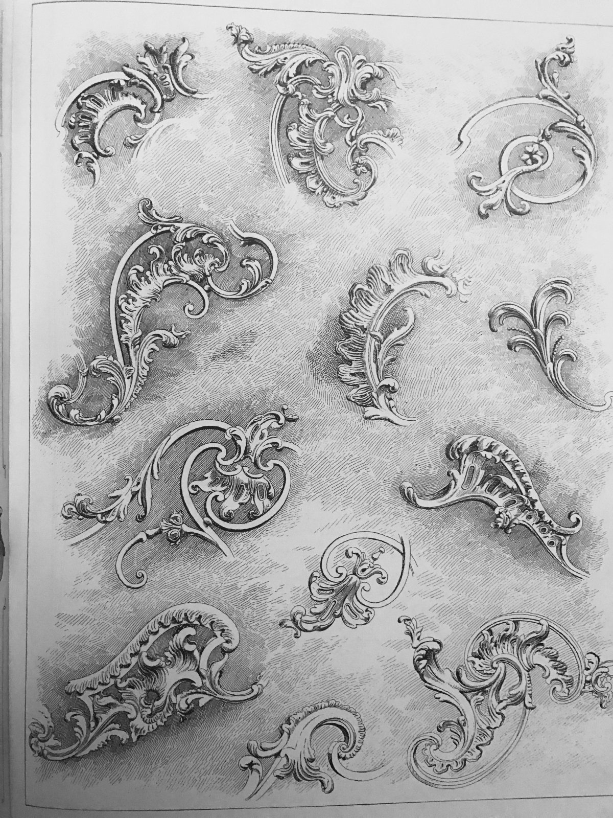 Узоры рококо Акант