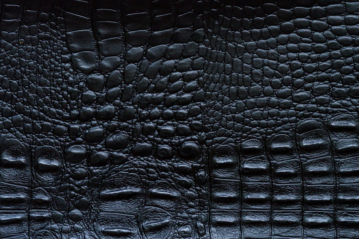 Кожа рептилии текстура