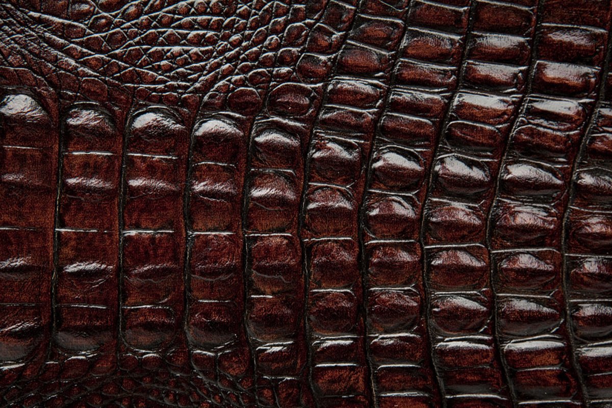 Кожа нильского крокодила