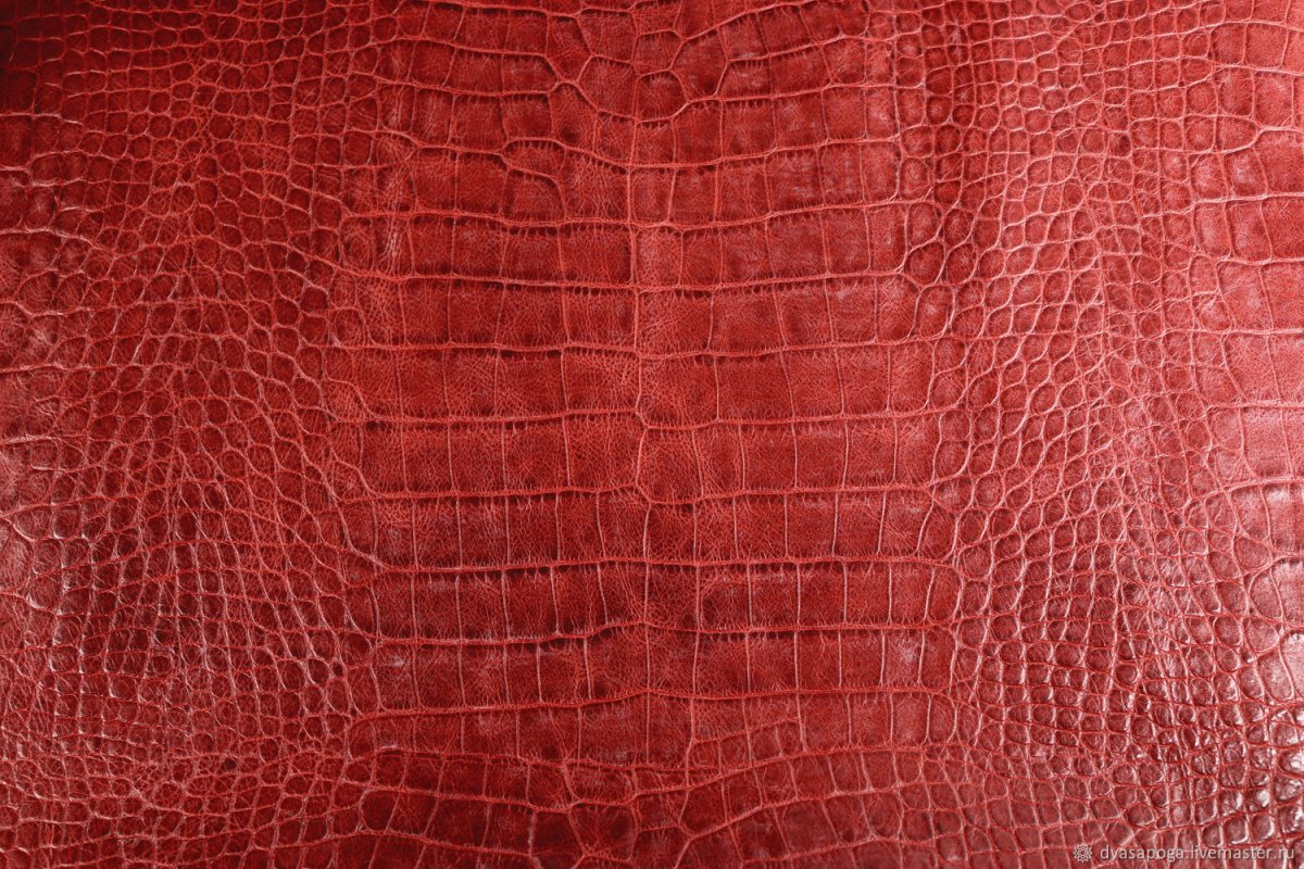 Кайман крокодил кожа