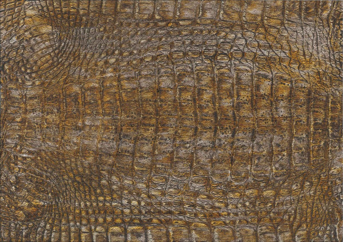 Decorex texture 1 крокодила кожа