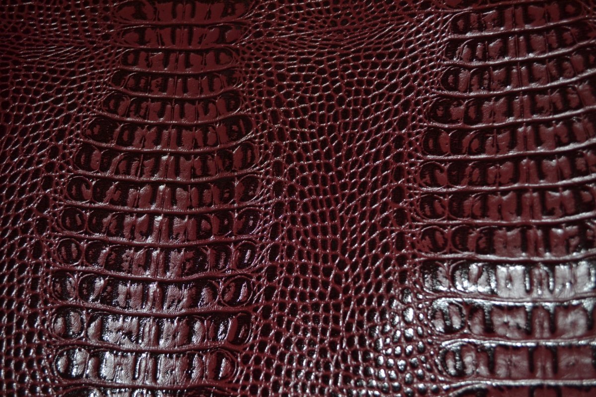 Кайман крокодил кожа