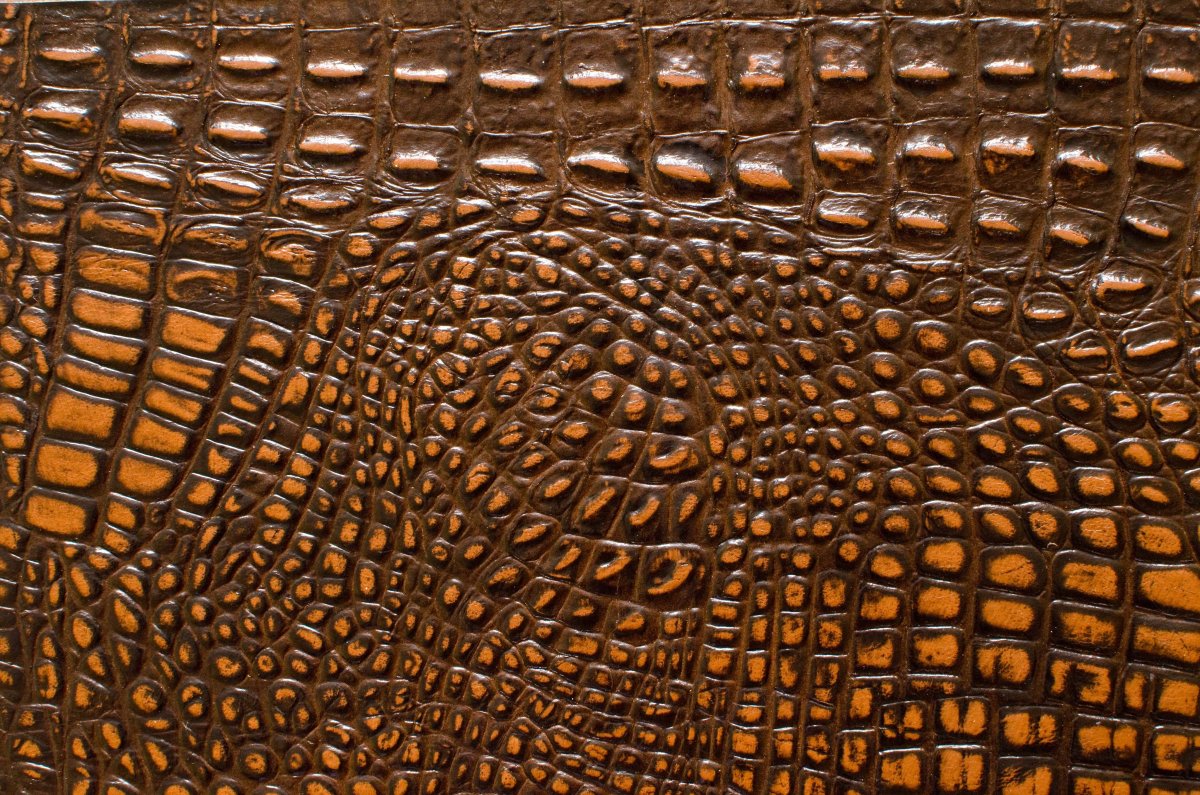 Варианты экзотической кожи черная