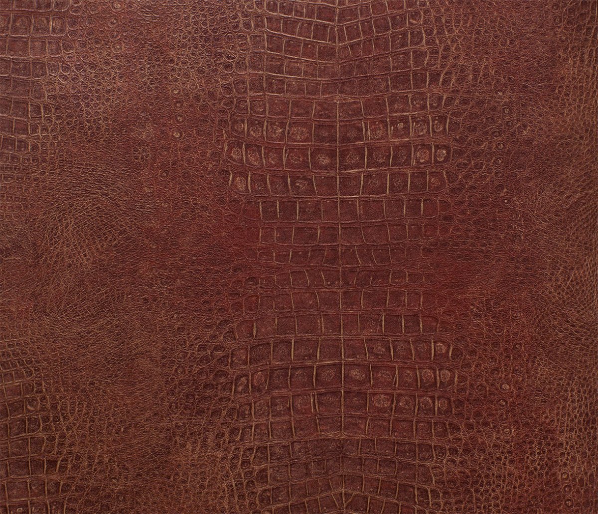 Фактура кожи