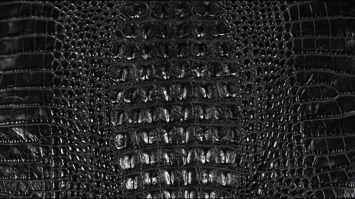Кожа крокодила текстура