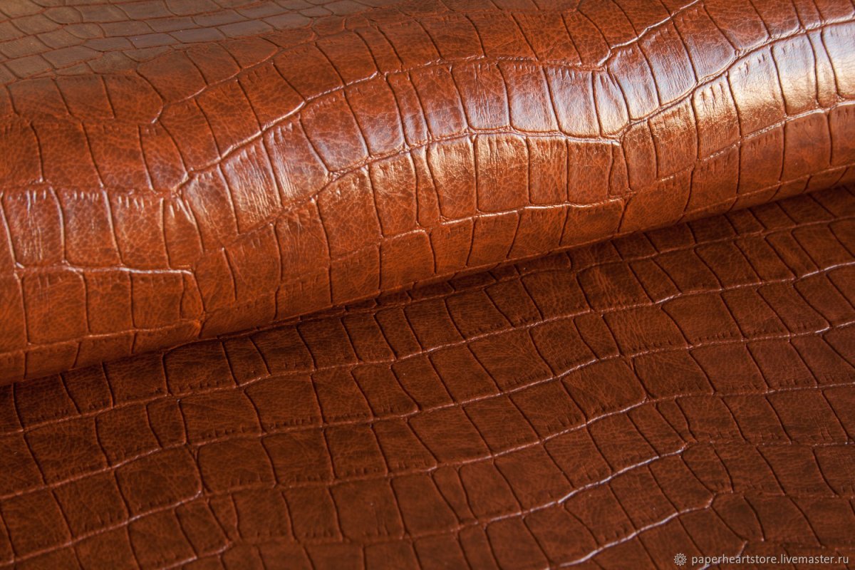 Reina коричневый кожзам