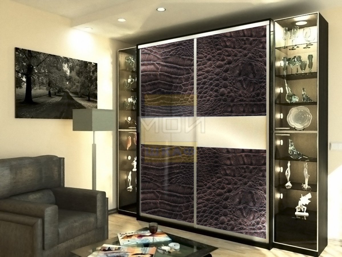 Мистер Дорс шкафы купе