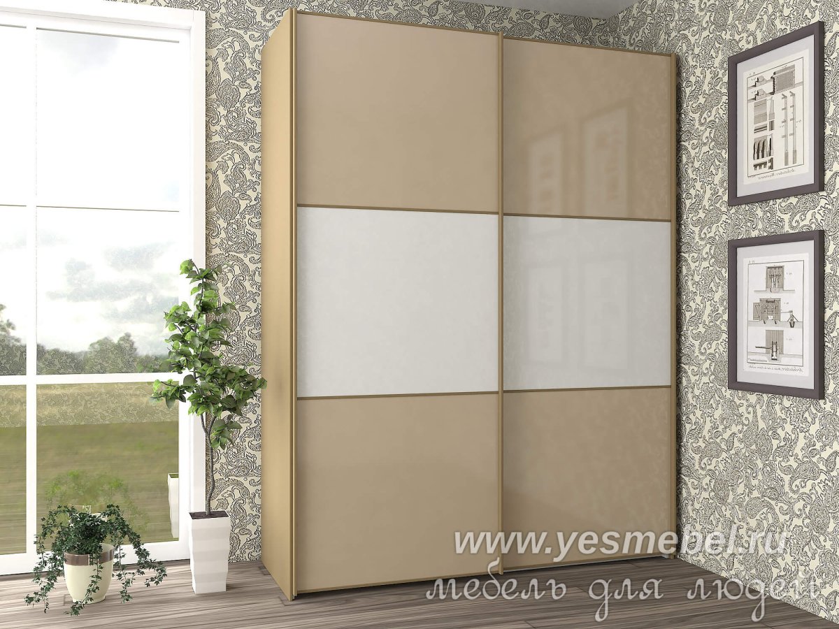 Шкаф-купе в гостиную во всю стену