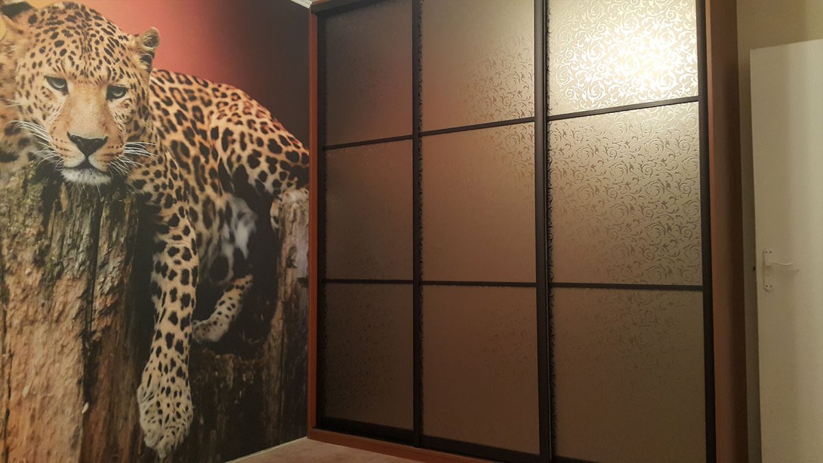 Встроенный шкаф купе пескоструй