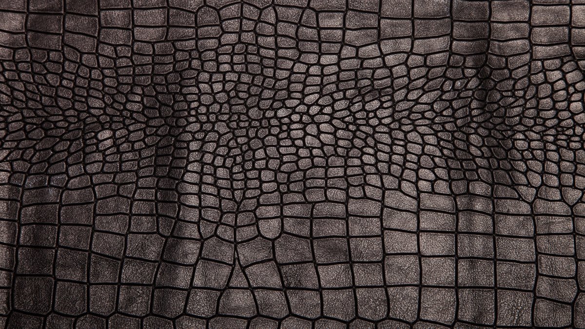 Коричневая кожа