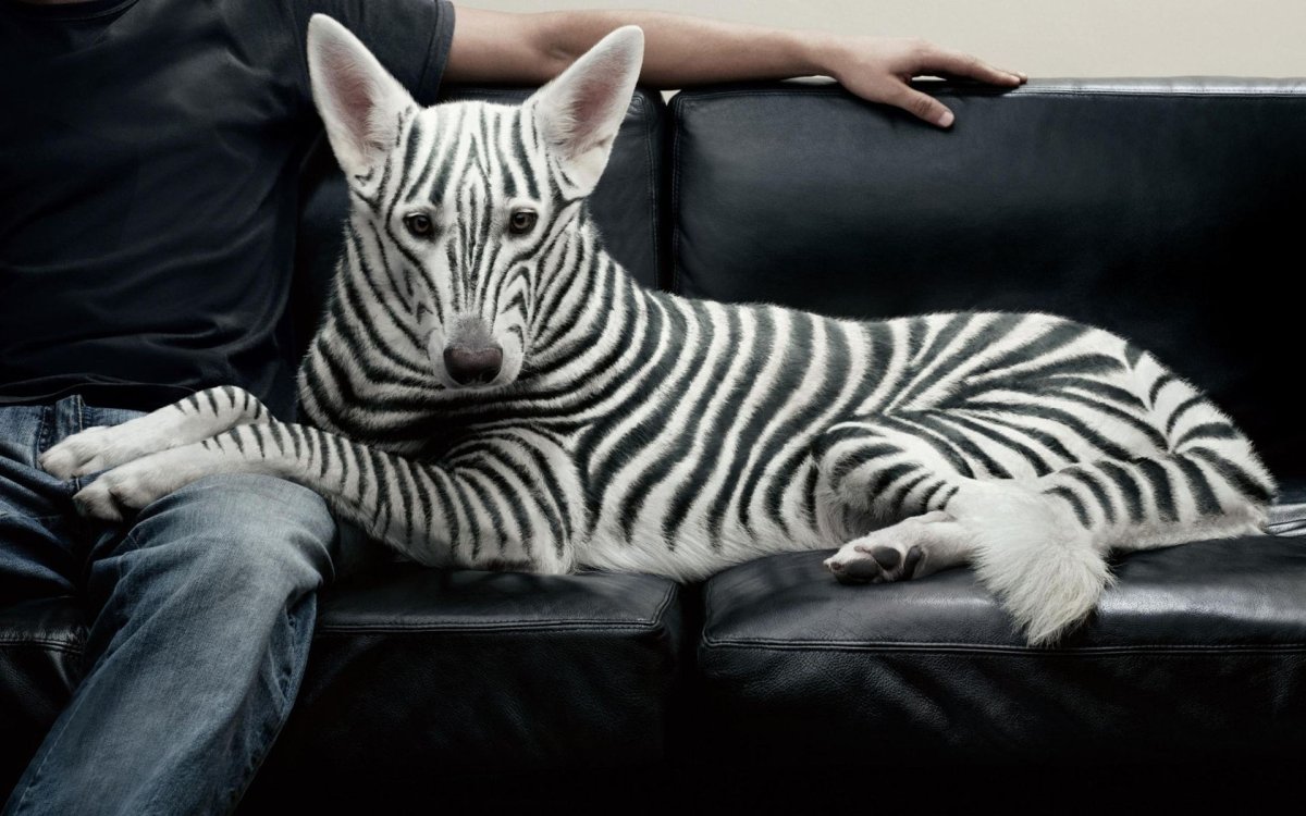 Вертикальная полоска в интерьере