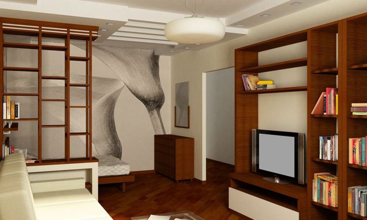 Зонирование однокомнатной хрущевки