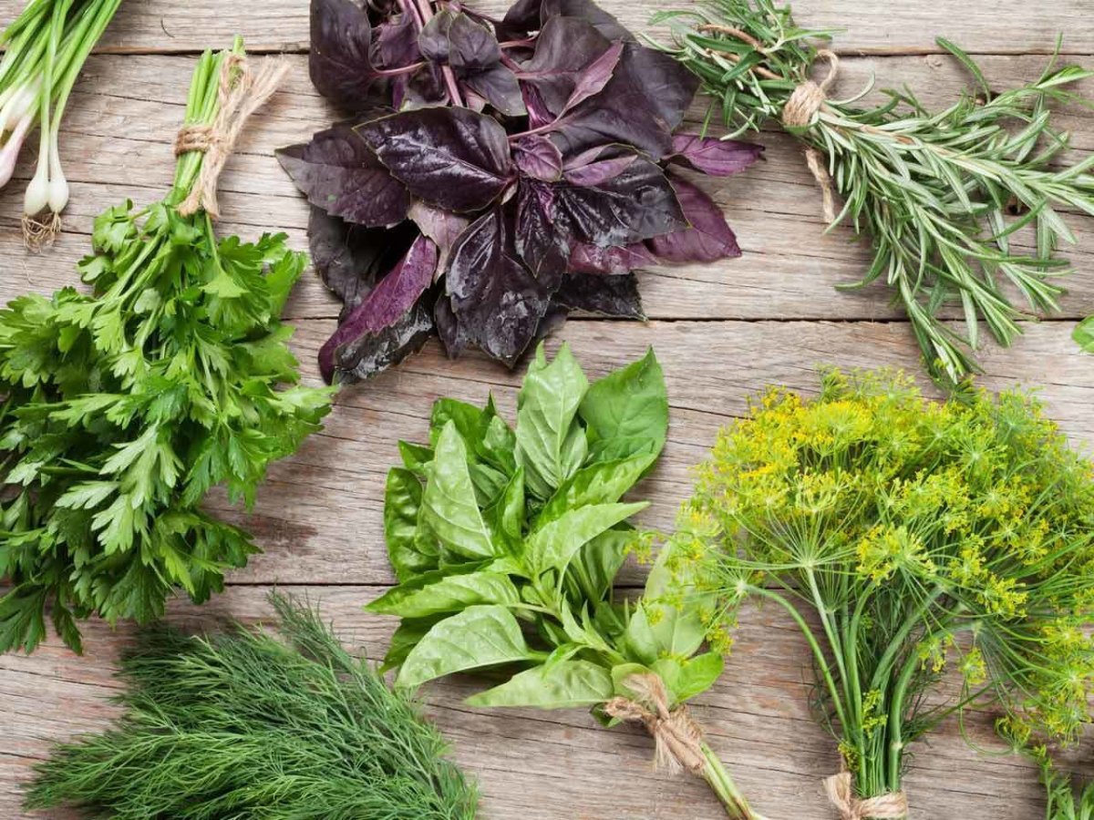 Огород на подоконнике