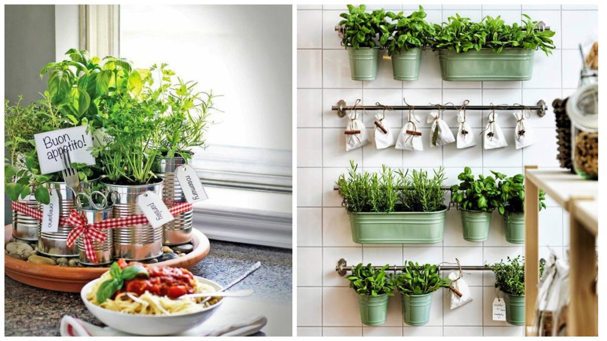 Пряные травы на кухне