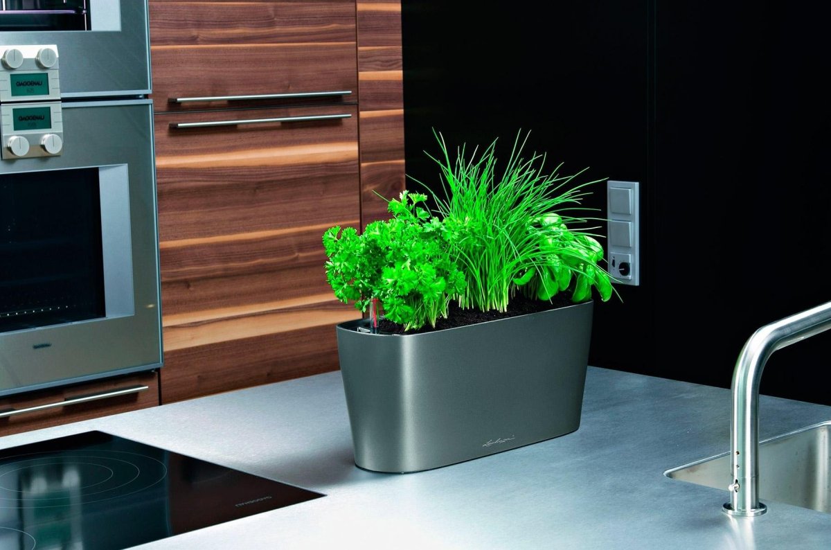 Фитомодуль икеа