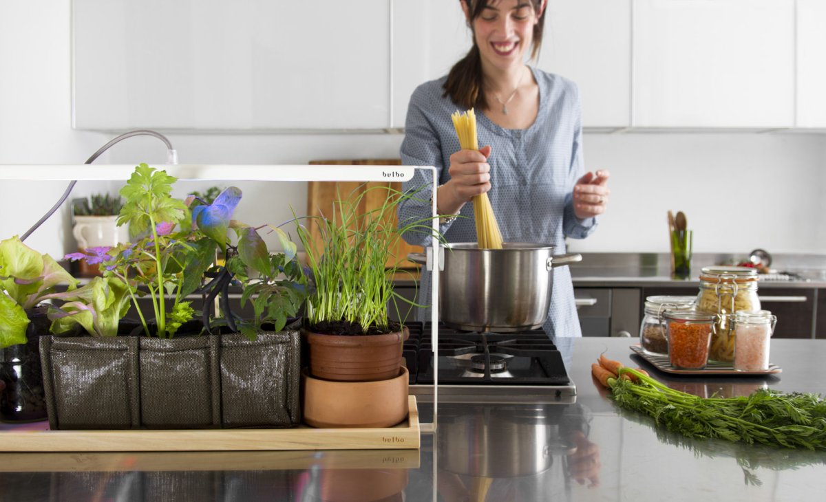 Зелень на подоконнике