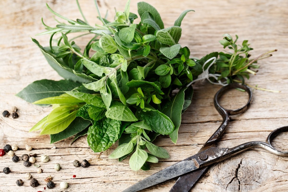 Петрушка и петрушка зелень