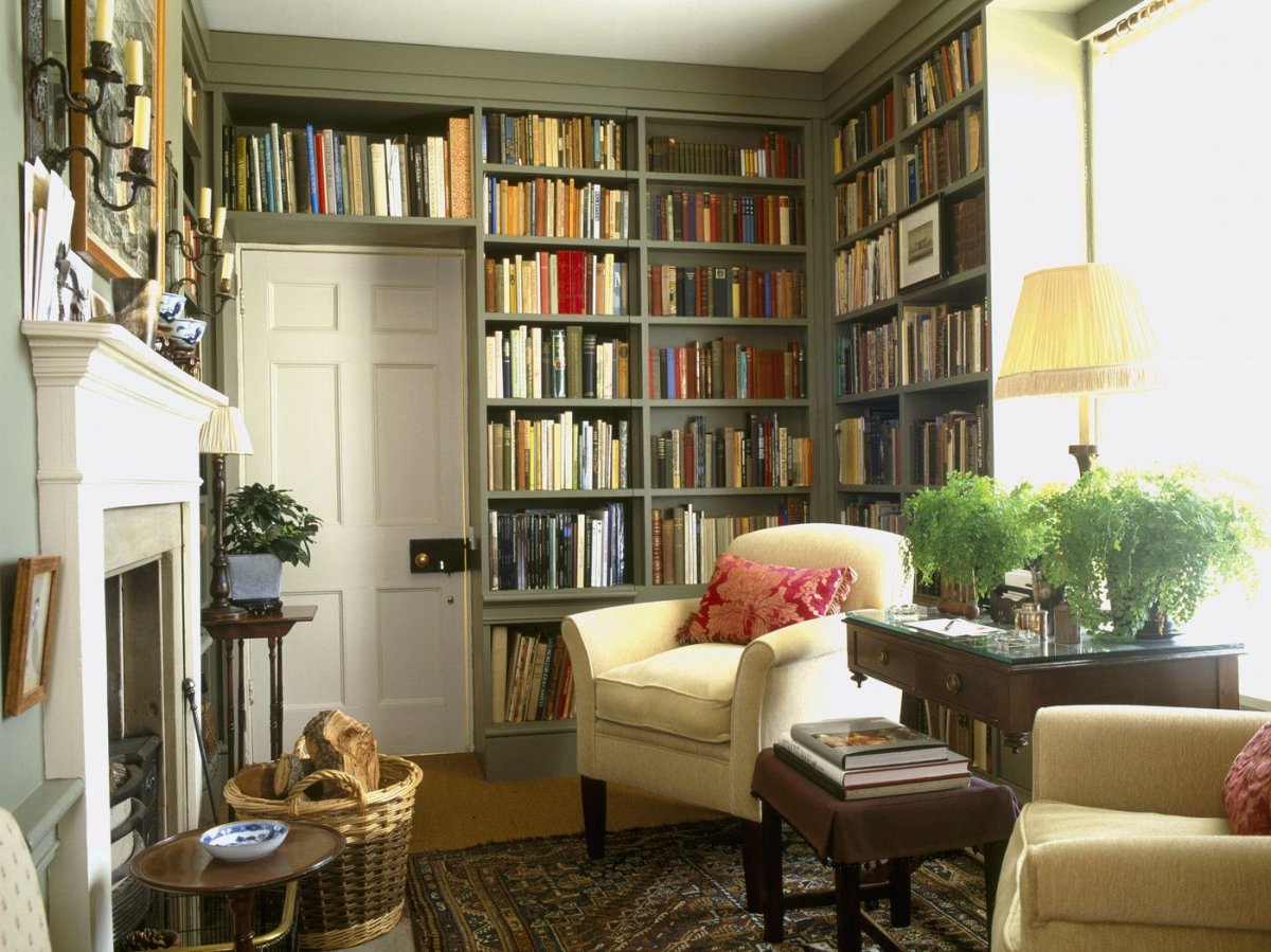 Современная гостиная с книжным шкафом