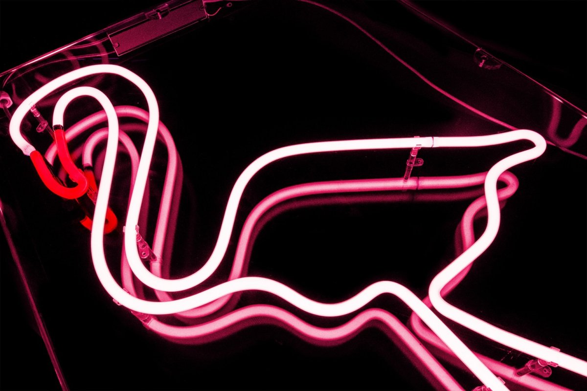 Вывески из гибкого неона