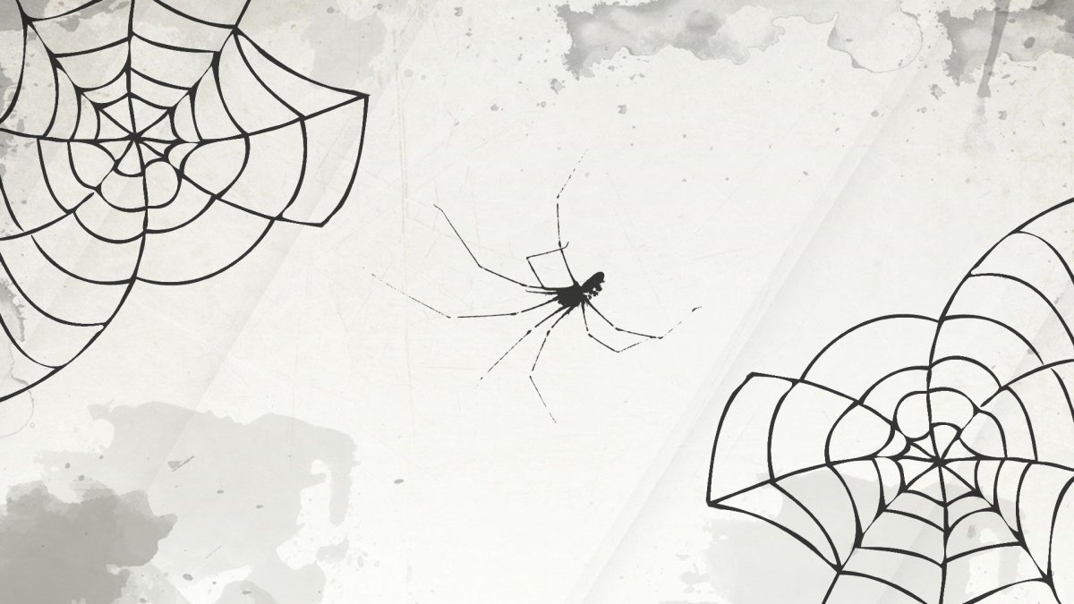 Паутина обои