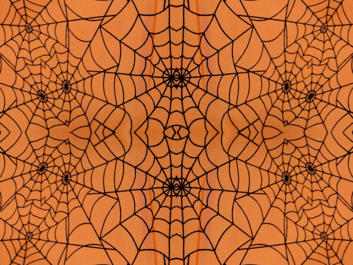 Паутина фон