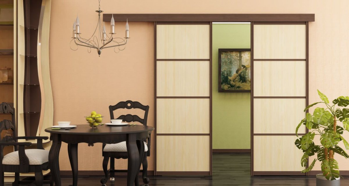 Подвесные двери купе