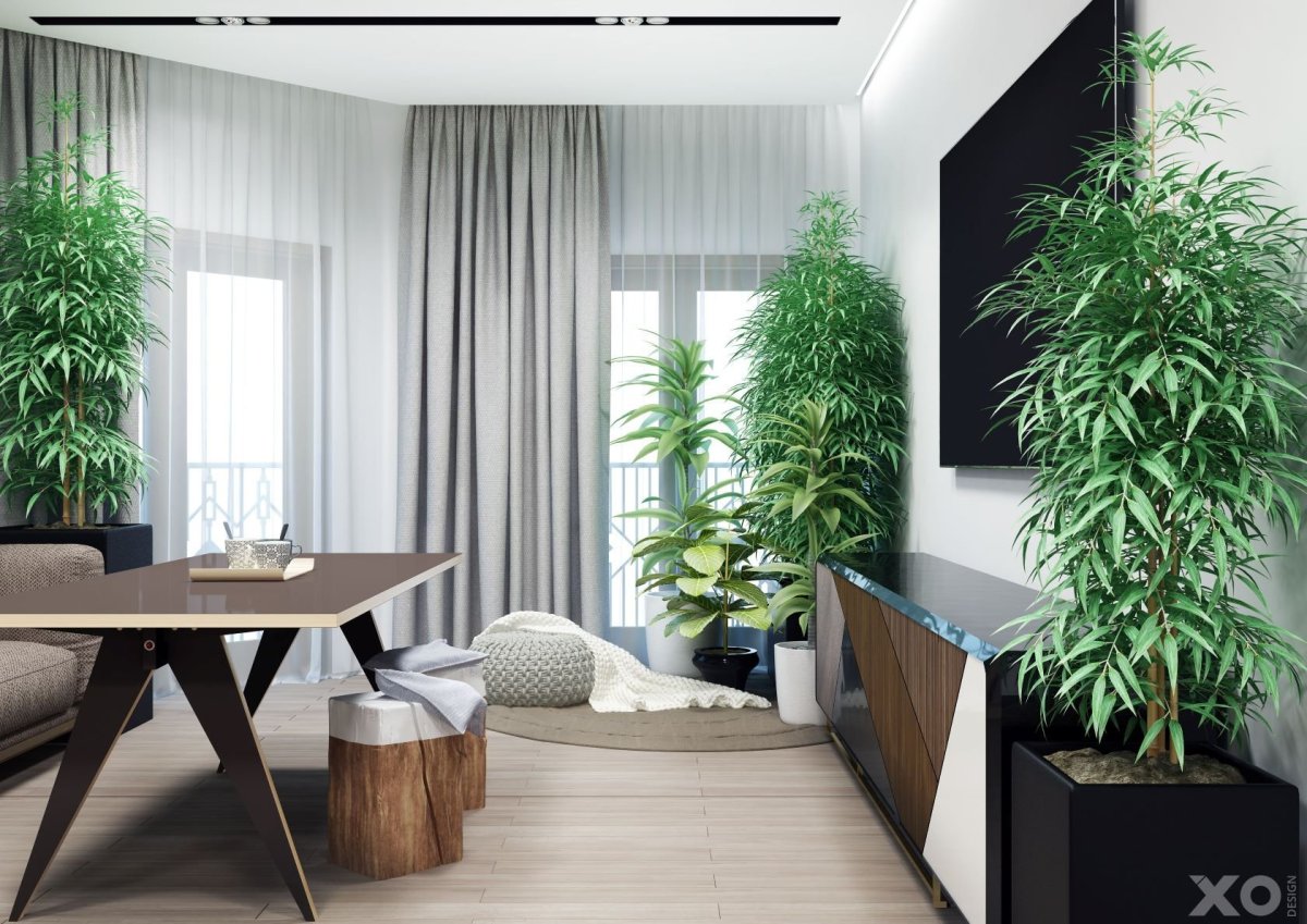 Экостиль в гостиной с фитостеной