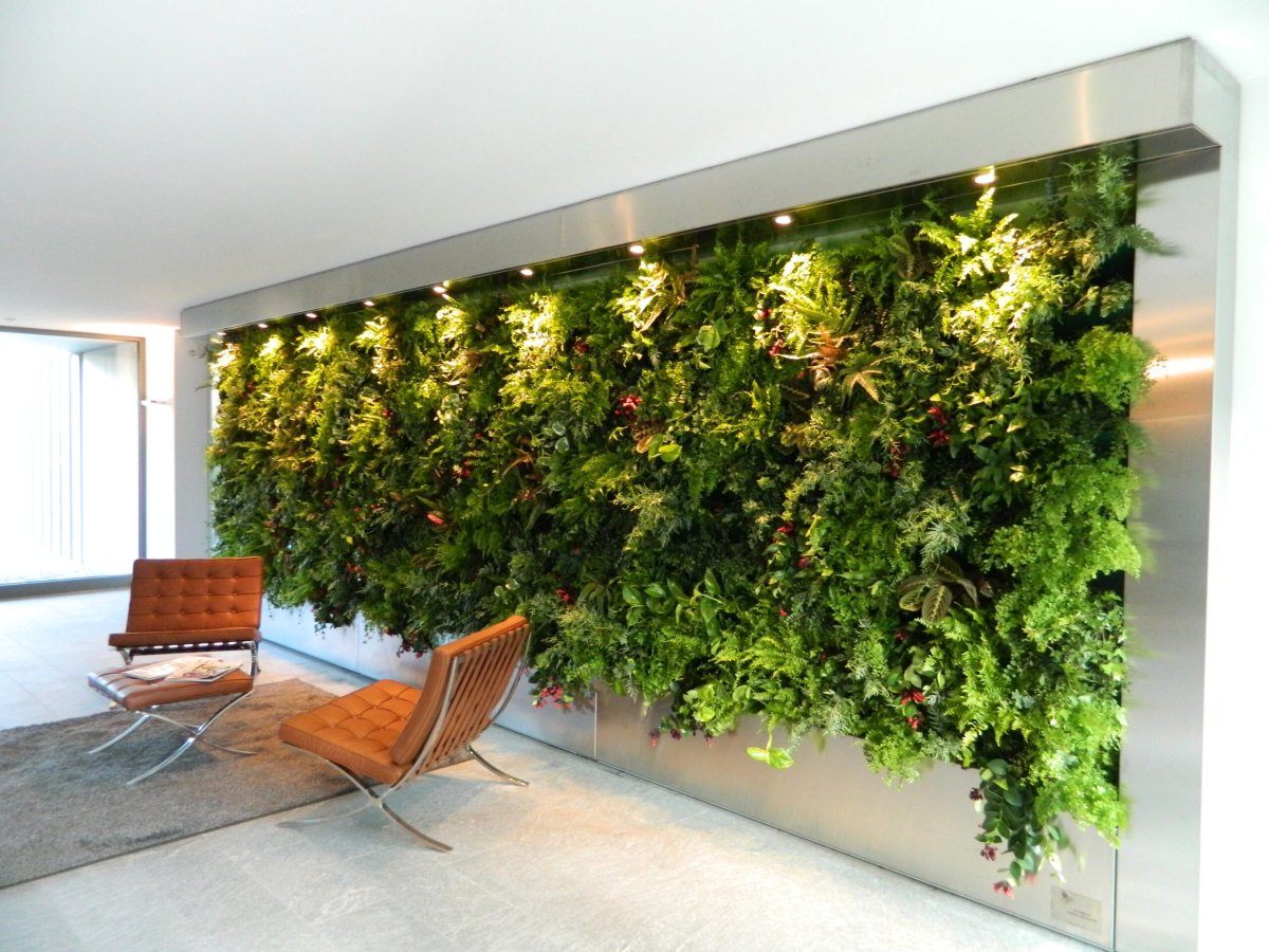 Лиана Грин вертикальное Озеленение