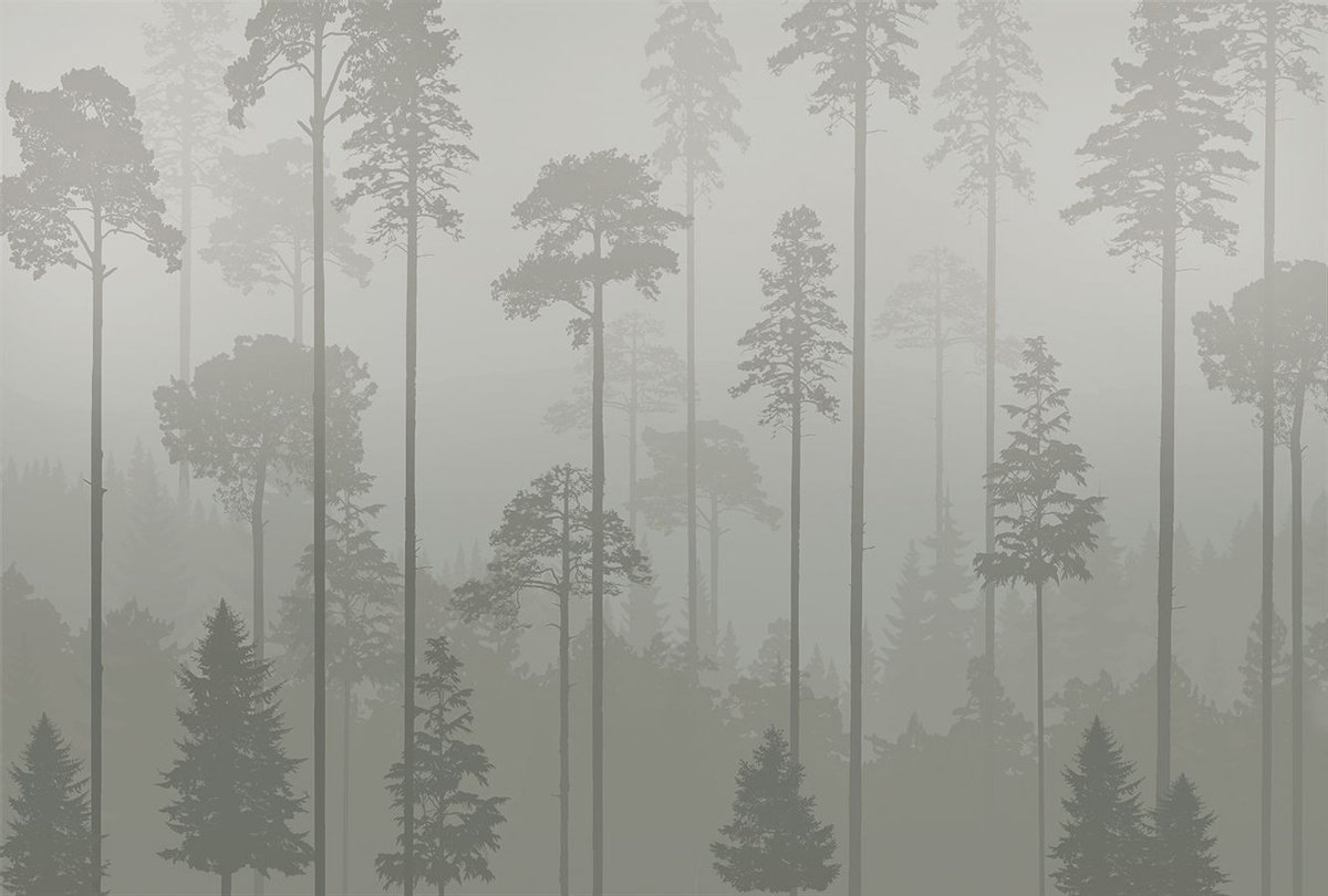 Обои на стену лес. Фреска туманный лес Аффреско. Фотообои Flizetto Uni туманный лес 400х270 см. Affresco туманный лес. Фреска на стену туманный лес.