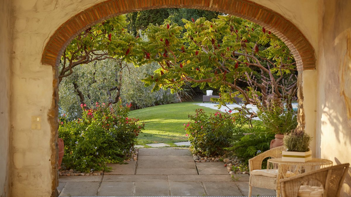 Виноградники Италии