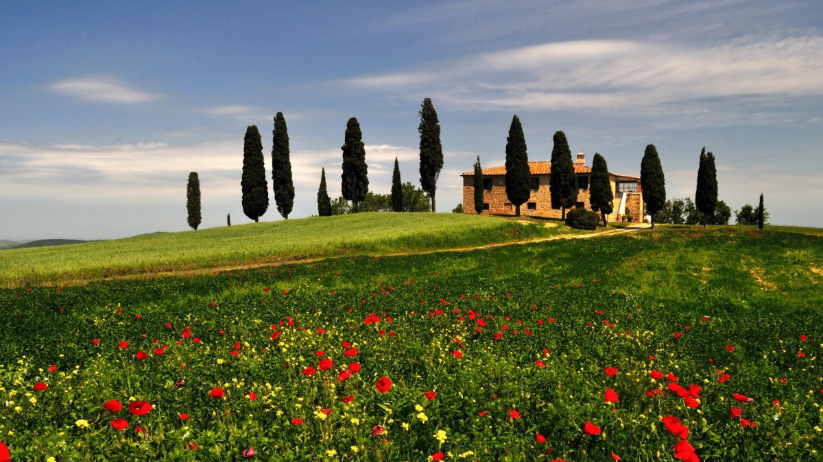 Тоскана холмы кипарисы