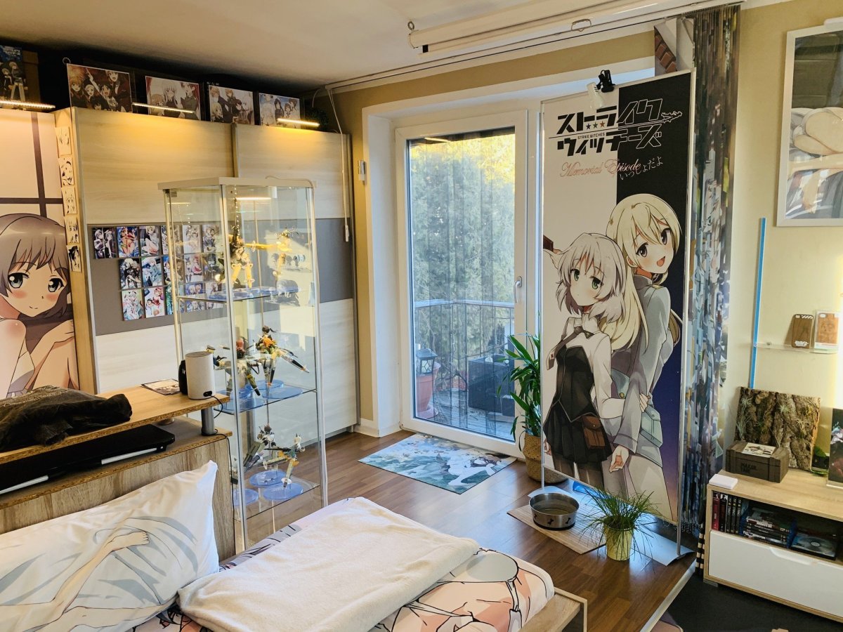 Комната АНИМЕШНИКА