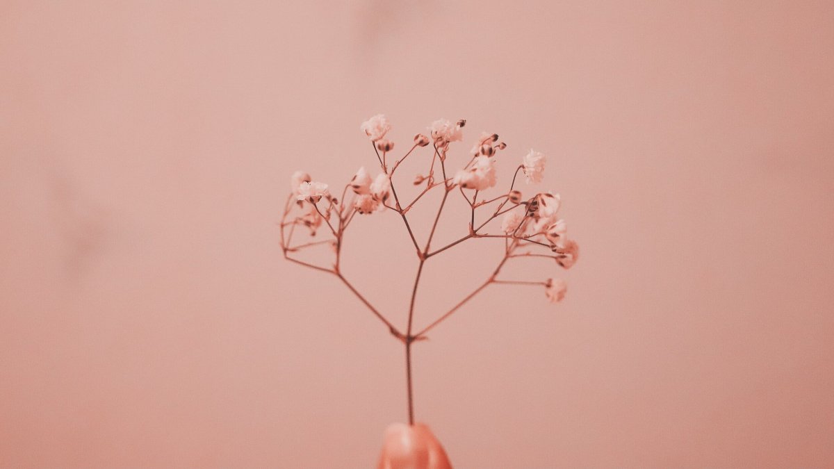 Pink aesthetic draw pictures