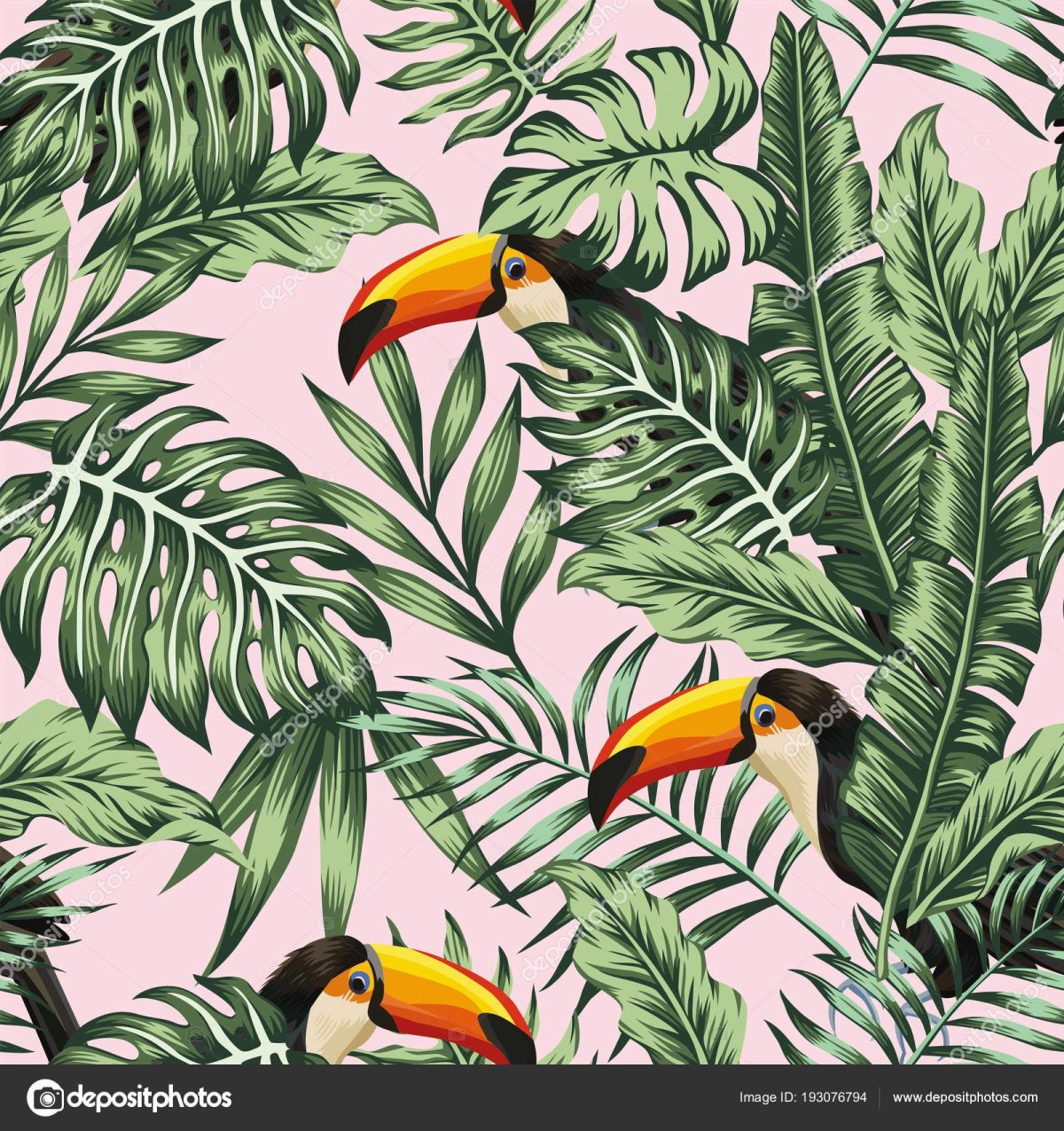 Туканы монстера пальмы