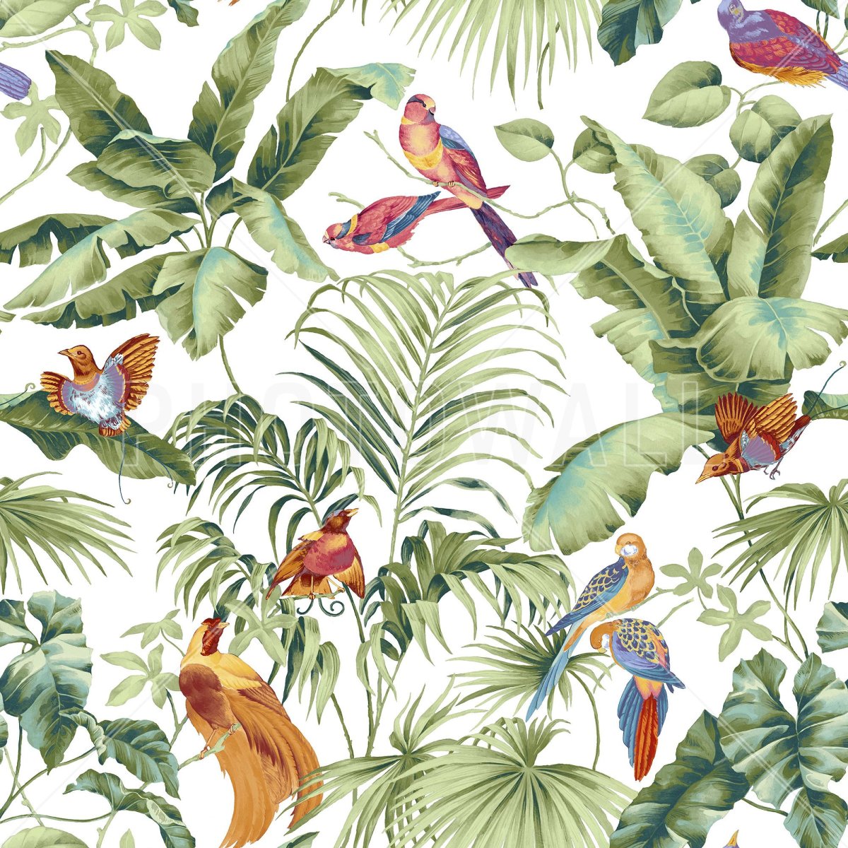 Тропический лес паттерн