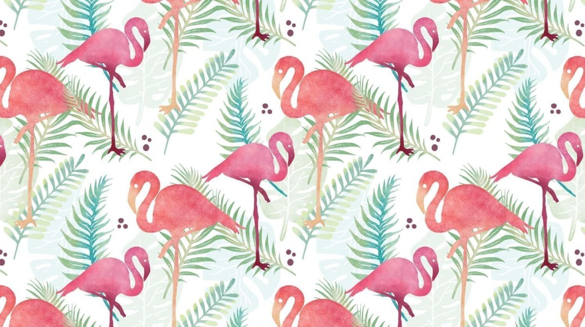Обои на рабочий стол Фламинго