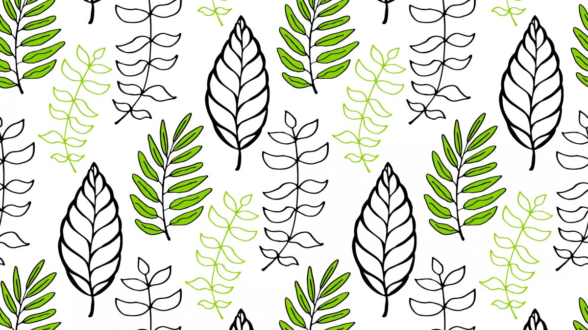 Листья иллюстрация