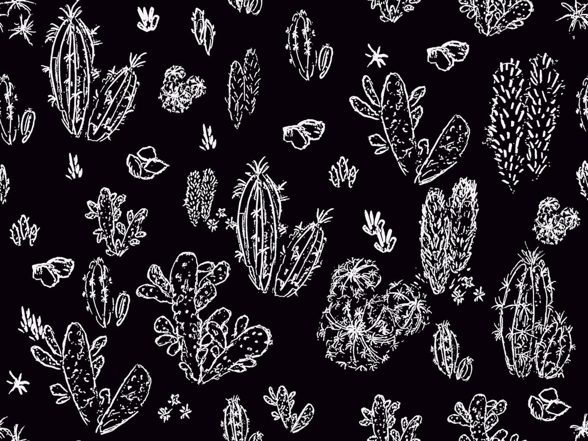 Черно белые паттерны кактусы