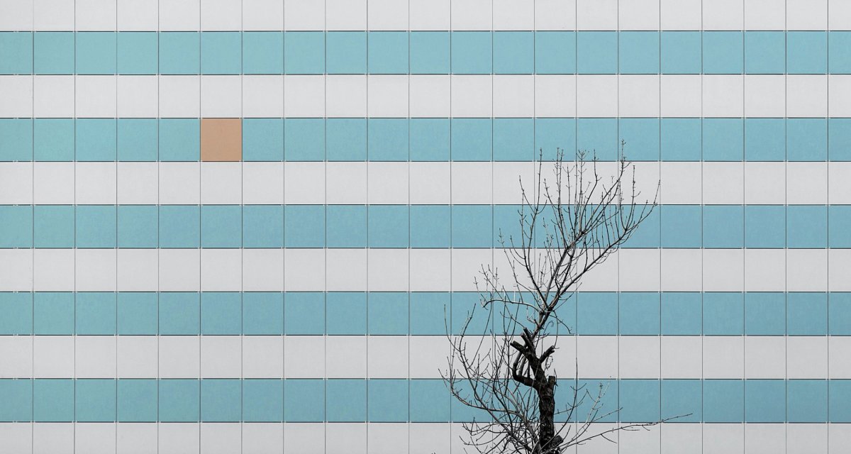 Дерево Минимализм