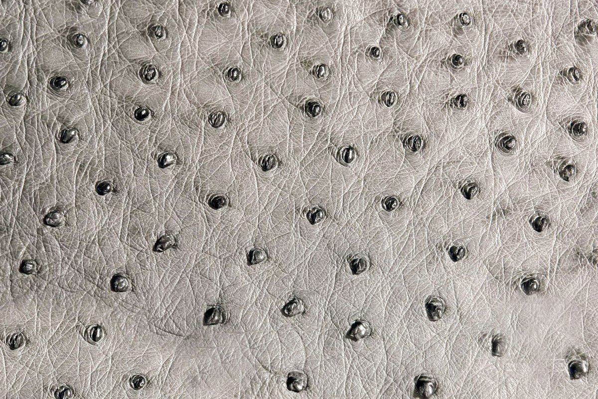 Страусиная кожа