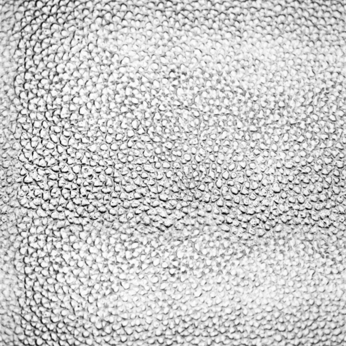 Текстура кожи чб