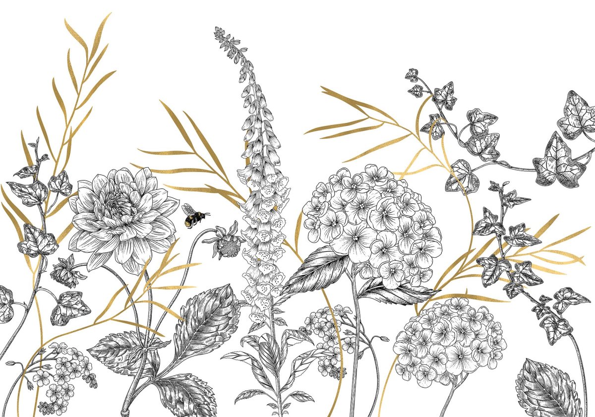 Раскраска белые фоны с полевыми цветами